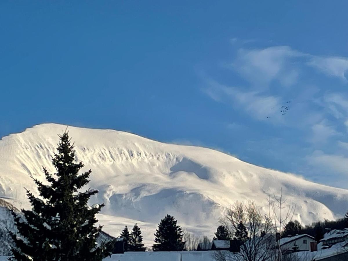 Tromsø Town and Nature 2 bedroom apt - B&B Tromsø