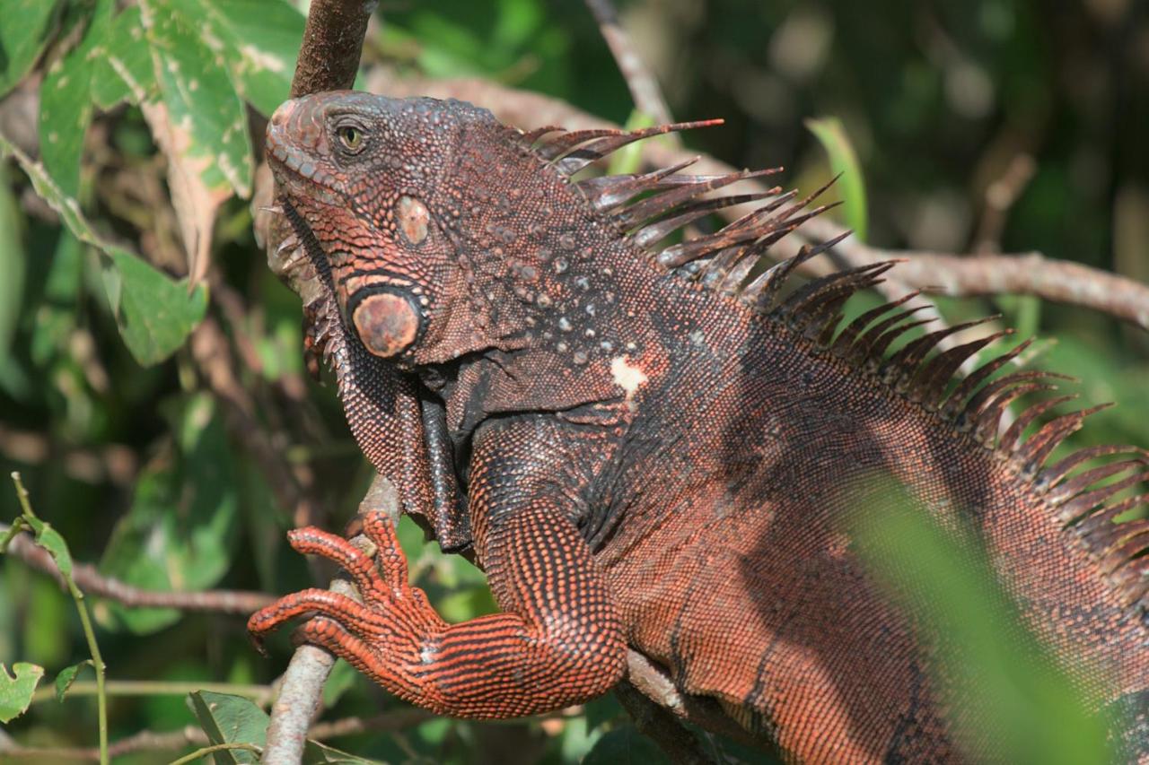 Casa con 1 Camera da Letto
