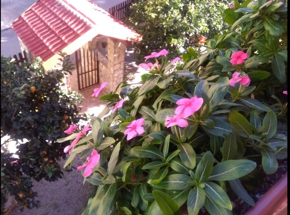 Casa Vacanze