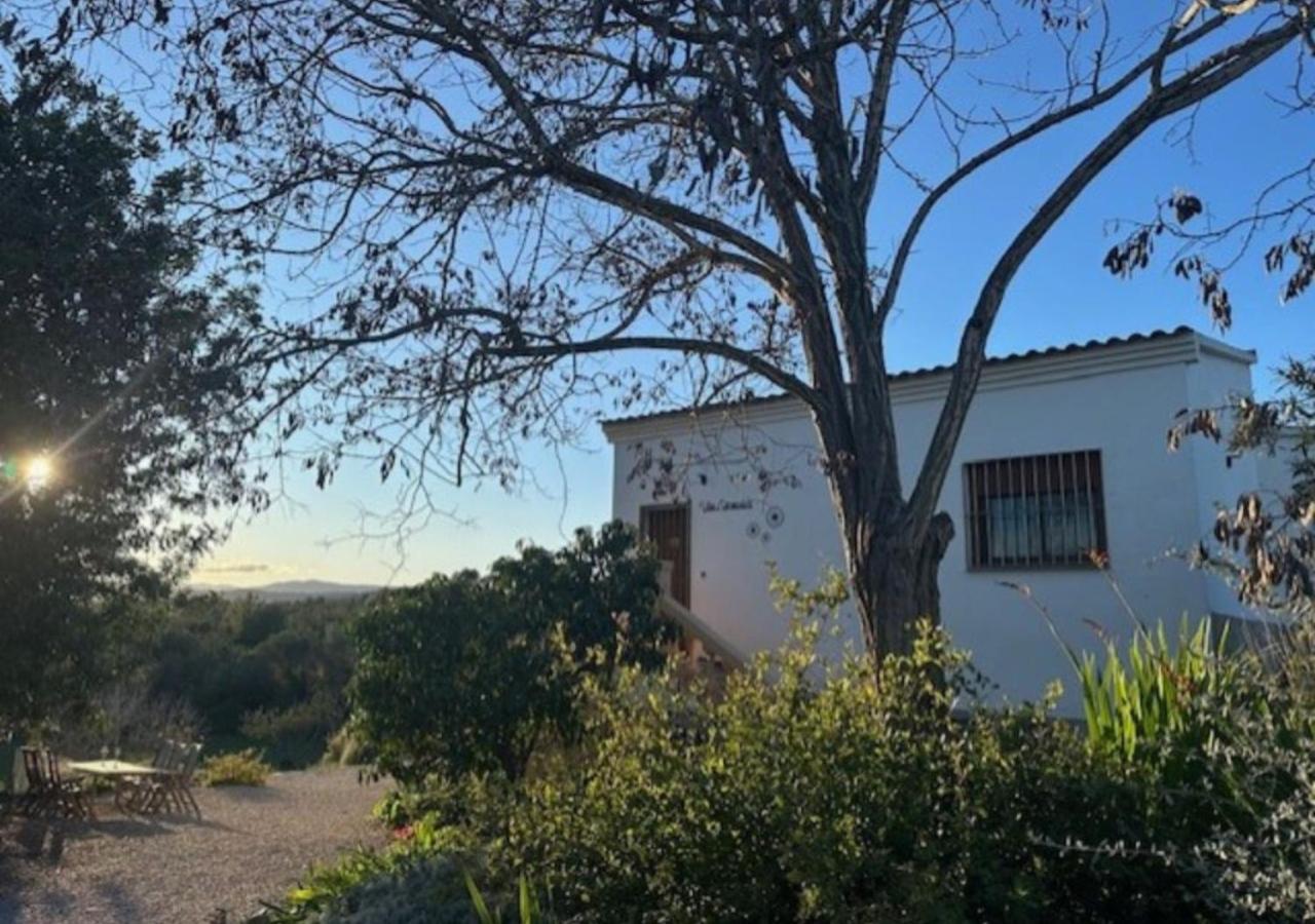 Vila Girasoles - Ferienwohnung Càlig