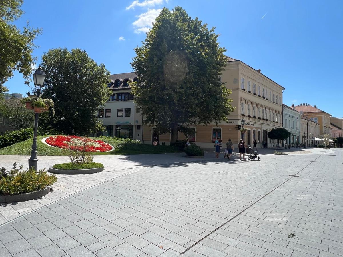 Tamás Apartman - Panorámás, tágas lakás a történelmi belvárosban kilátással a Virágórára - Chambres d'hôtes Székesfehérvár