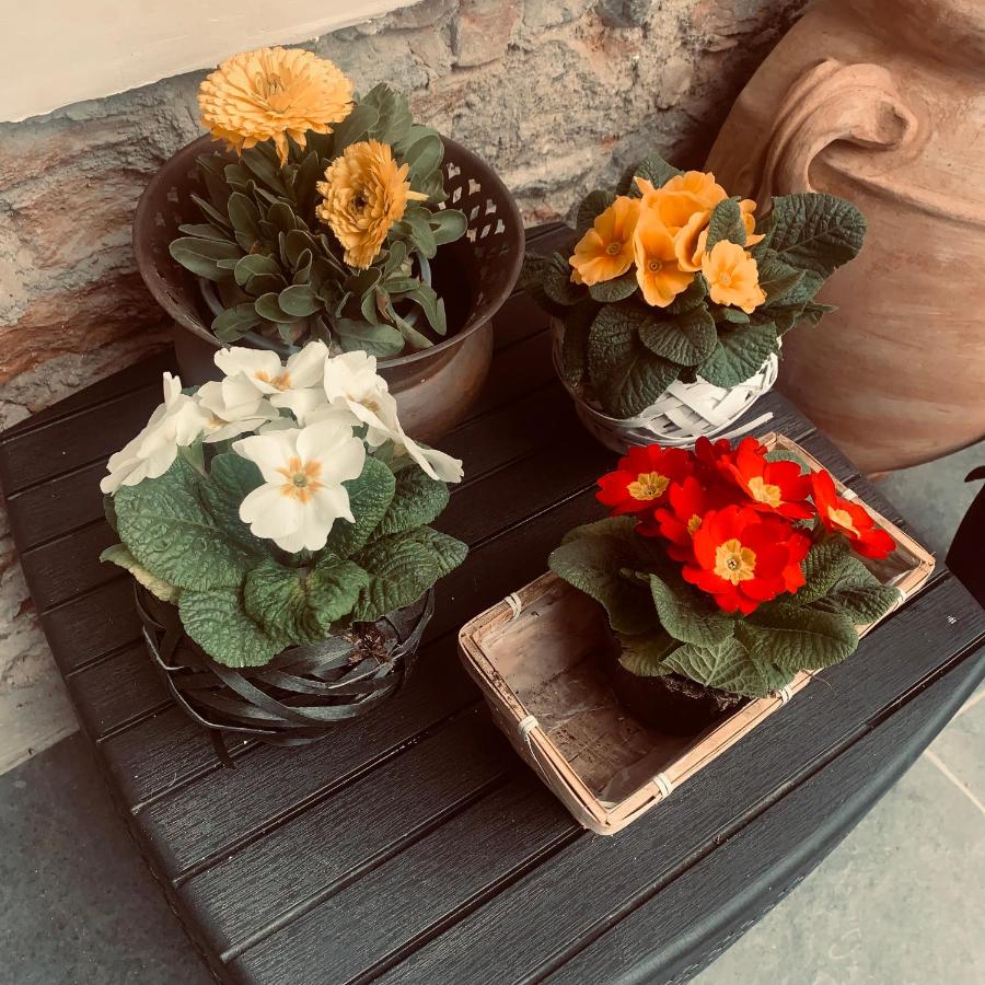 Oasi di pace - B&B Romano Canavese