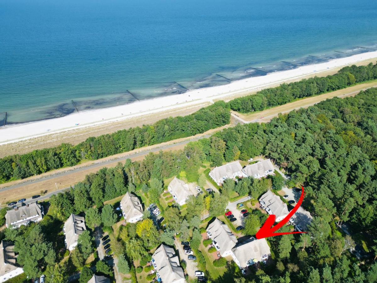 Idyllische Strandwohnung in Zingst, 50m zum Strand, traumhafte Lage, liebevolle Einrichtung - Chambres d'hôtes Zingst