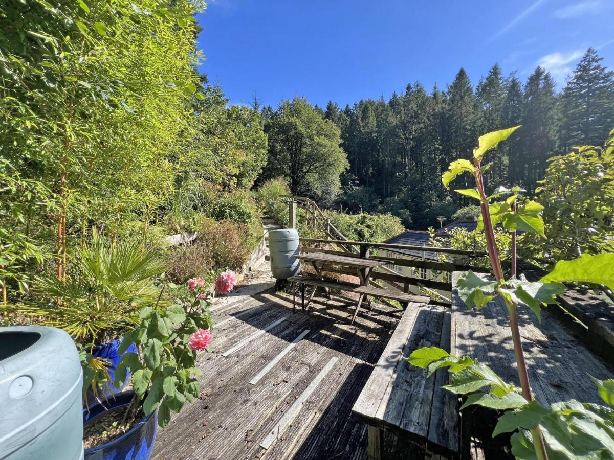 The lodge - Bed and Breakfast Bodmin