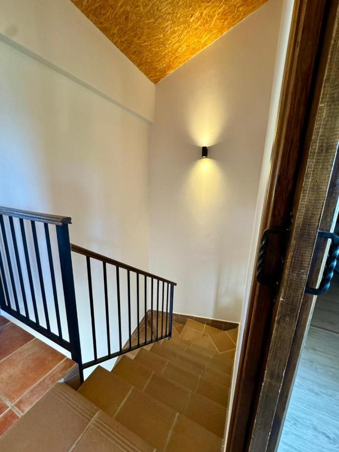 Atempo Berzosa Olivo - B&B Berzosa del Lozoya