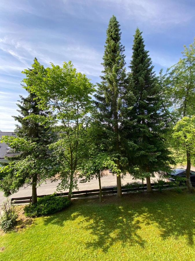 Chalet-Apartment Waldfrieden, in ruhiger Lage mit TG - Ferienwohnung Hahnenklee-Bockswiese