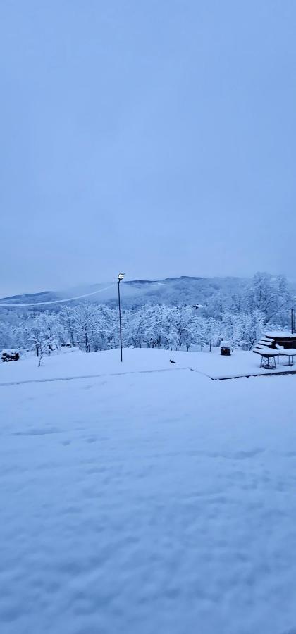 Zen Resort and Winery - Ferienwohnung Slănic