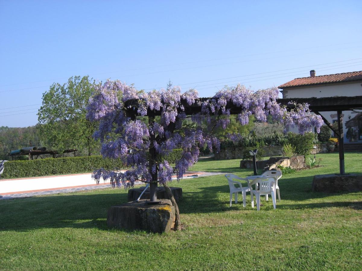 Agriturismo Villani Poderi Nesti & Cupoli - Ferienwohnung