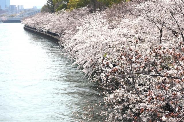 Direct train access to 道頓堀 黒門市場 USJ Kyoto Temmabashi Blue Sky Guesthouse - B&B Osaka