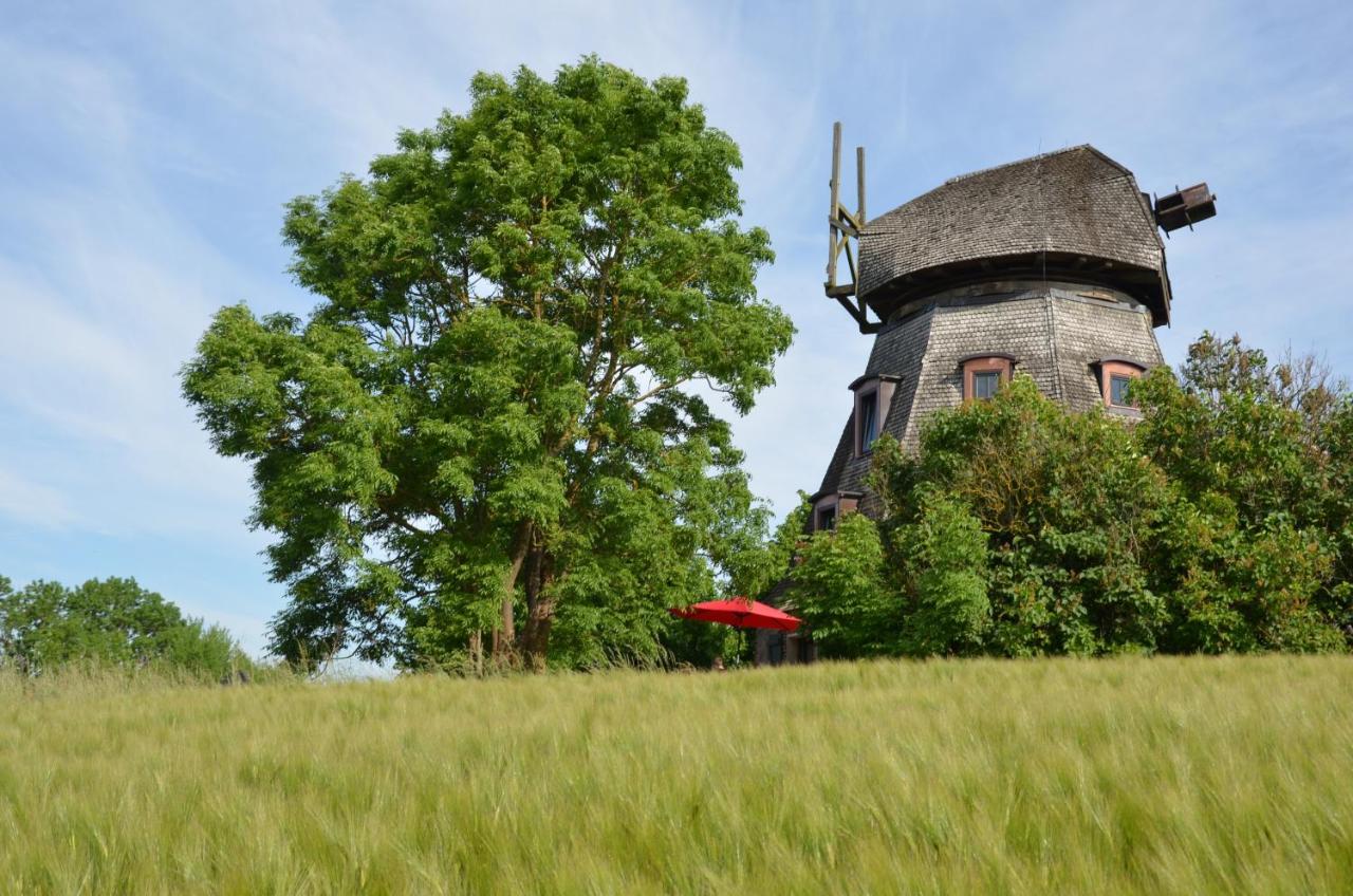 Schamper Mühle - B&B Gotthun