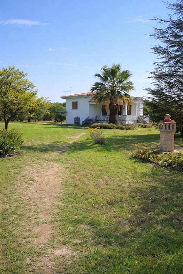 Private Villa Sea View BBQ - B&B Epanomí