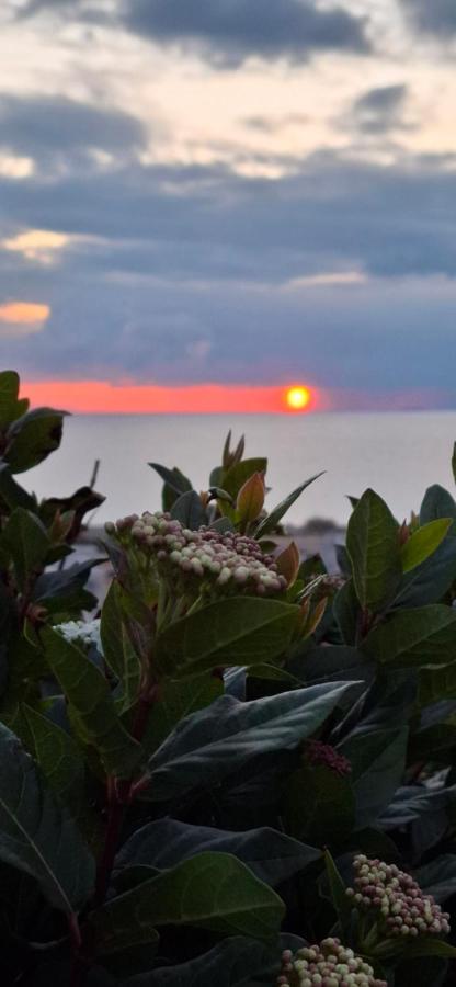 Sea-Nature-Wellness - Bed and Breakfast Kolymbia