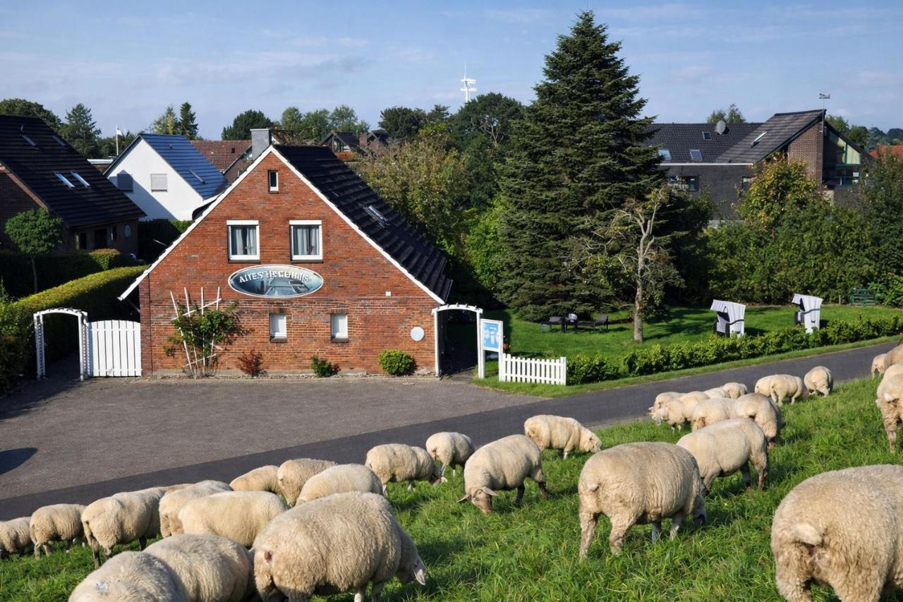 Borkum - Chambres d'hôtes Schillig