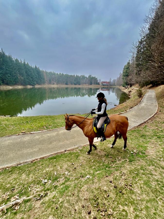 Alba di Montanaria camere e appartamento a Brosso - Bed and Breakfast Brosso