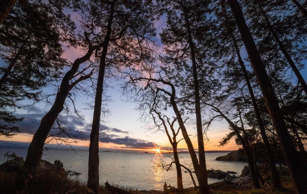 Oceanside Nature Resort - Bed and Breakfast Nanoose Bay