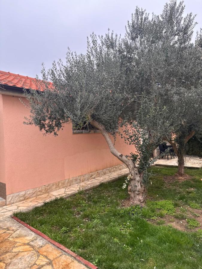 Kata - B&B Razvala