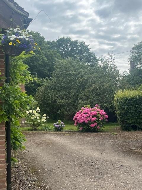 The Bird Loft Studio - B&B Horsted Keynes