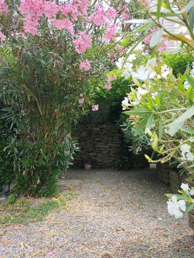 La Cave à Julie - B&B Mirepoix