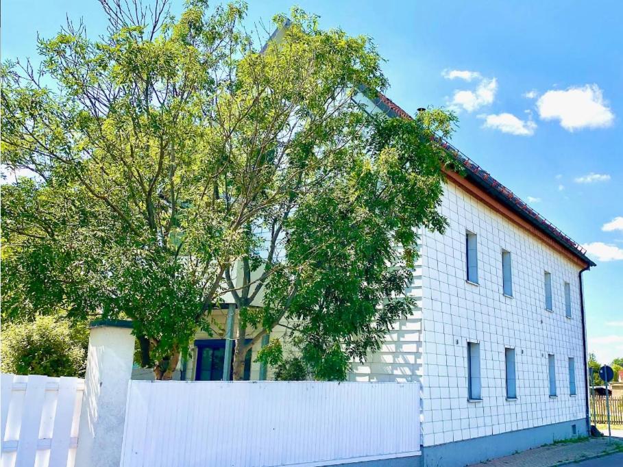Monteur Oase bei Leipzig - B&B Schkeuditz