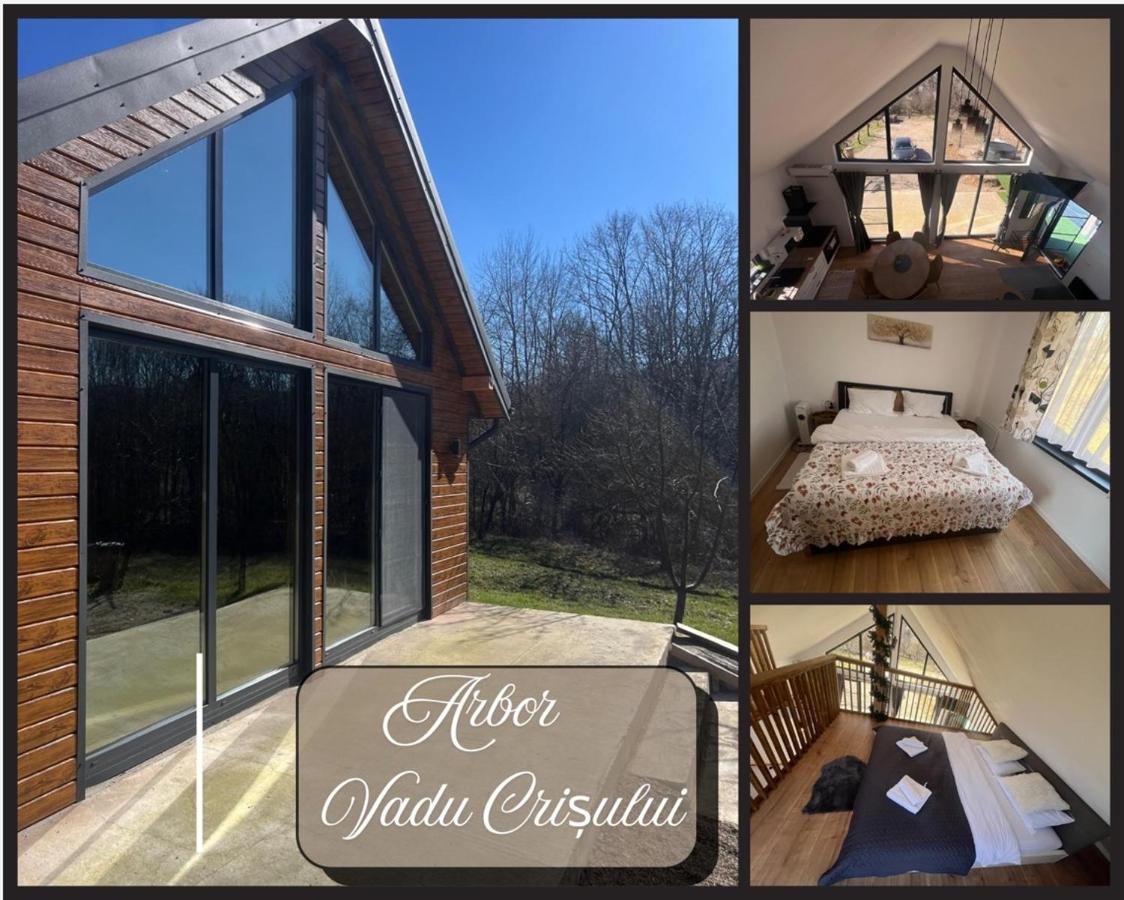 Arbor - B&B Vadu Crişului