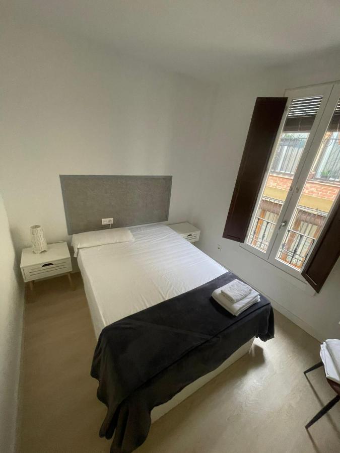 QH Animas 5 - 02 - B&B Granada