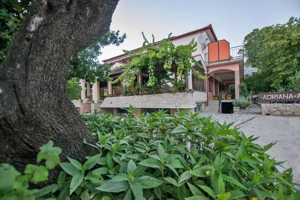 Apartments in Starigrad-Paklenica 43533 - Chambres d’hôtes Starigrad