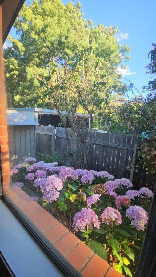 MQ Residence Canberra ll Pet EV AC Extended Long Stay ll - Ferienwohnung Canberra