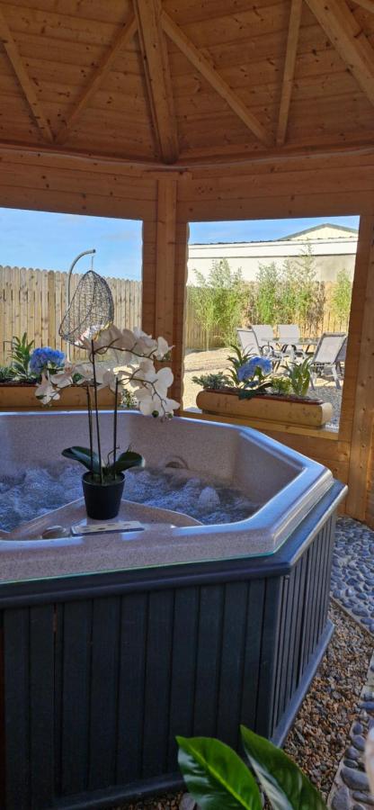 Yellow Stone Farm Lodge - B&B Clonbrown