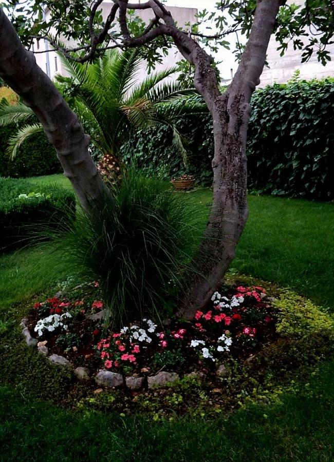 Apartment Rusulica - B&B Pirovac