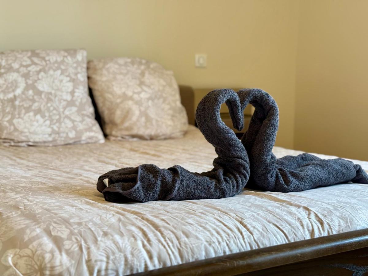 Ô Mon Beau Refuge - 75 m2 & Private Parking - B&B Aix-les-Bains