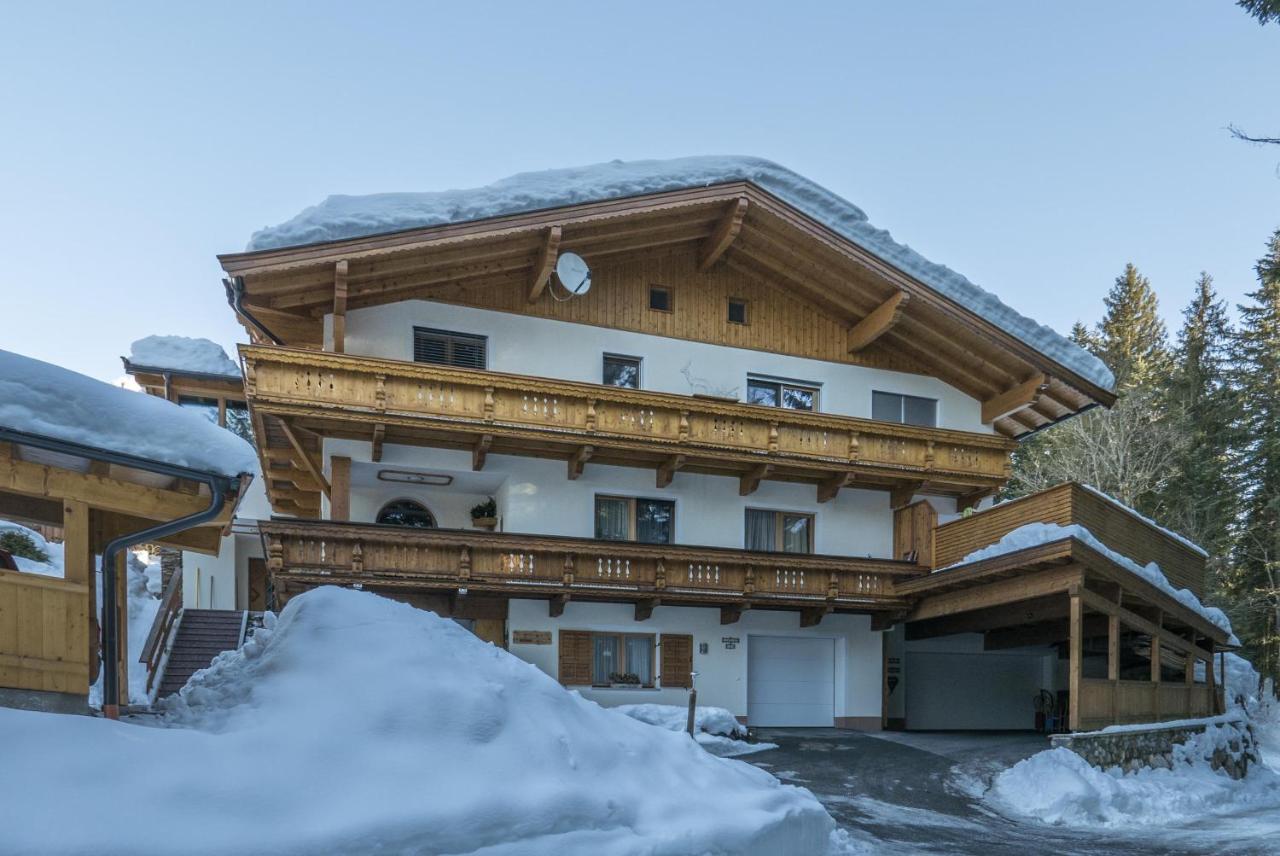 Kaiser Nest Apartment - Ferienwohnung Going am Wilden Kaiser