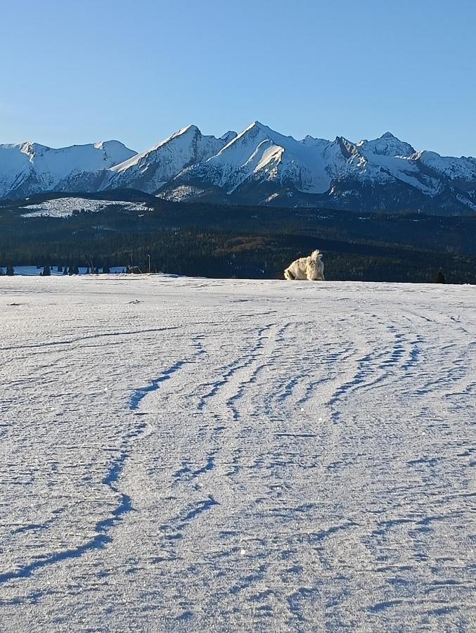 Chambre Triple – Vue sur Montagne