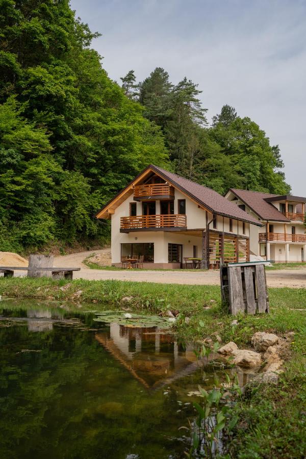 Ribnik Stari trg - Chambres d’hôtes Lesično