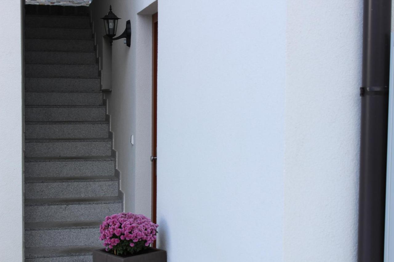 Bergchalet Rauch - B&B