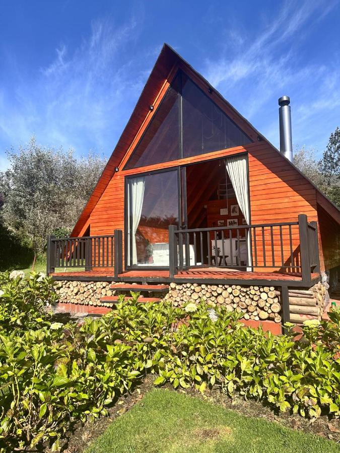 Chalet 1 Chambre