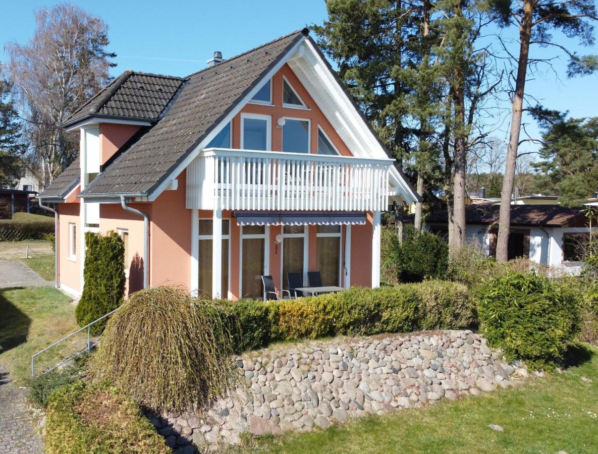 Ferienhaus Seeperle direkt am Plauer See - B&B Plau am See