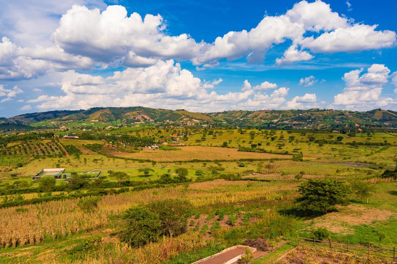 Bihogo Farmland B&B - B&B Mbarara