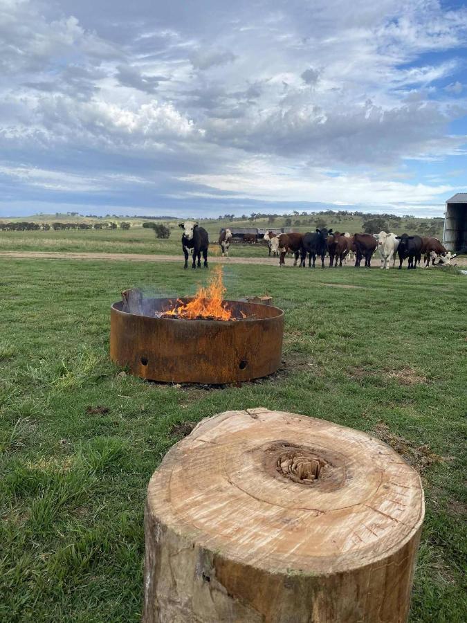 Luxury Farm Retreat Yarrimbah Shear Shed Farmstay CREEK WILDLIFE FIRE STARS - Chambres d'hôtes Glencoe
