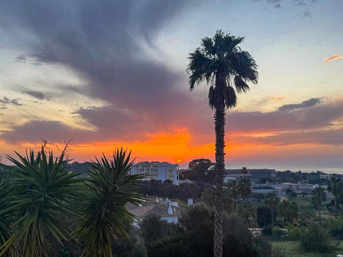 Sunrise Sea View Apartment Walk to Meia Praia - B&B Lagos
