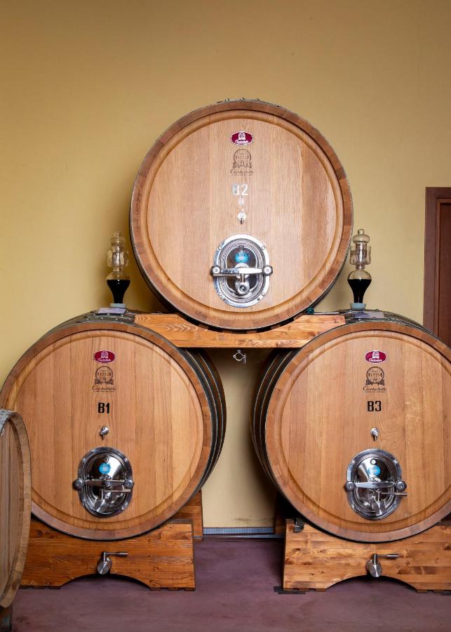 The Winemaker's House - La Collina La Casa - B&B Casa Berta