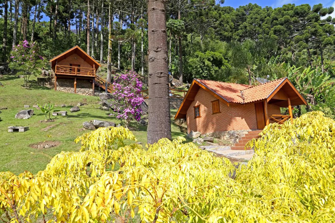 Chalés Araucária e Manacá - B&B