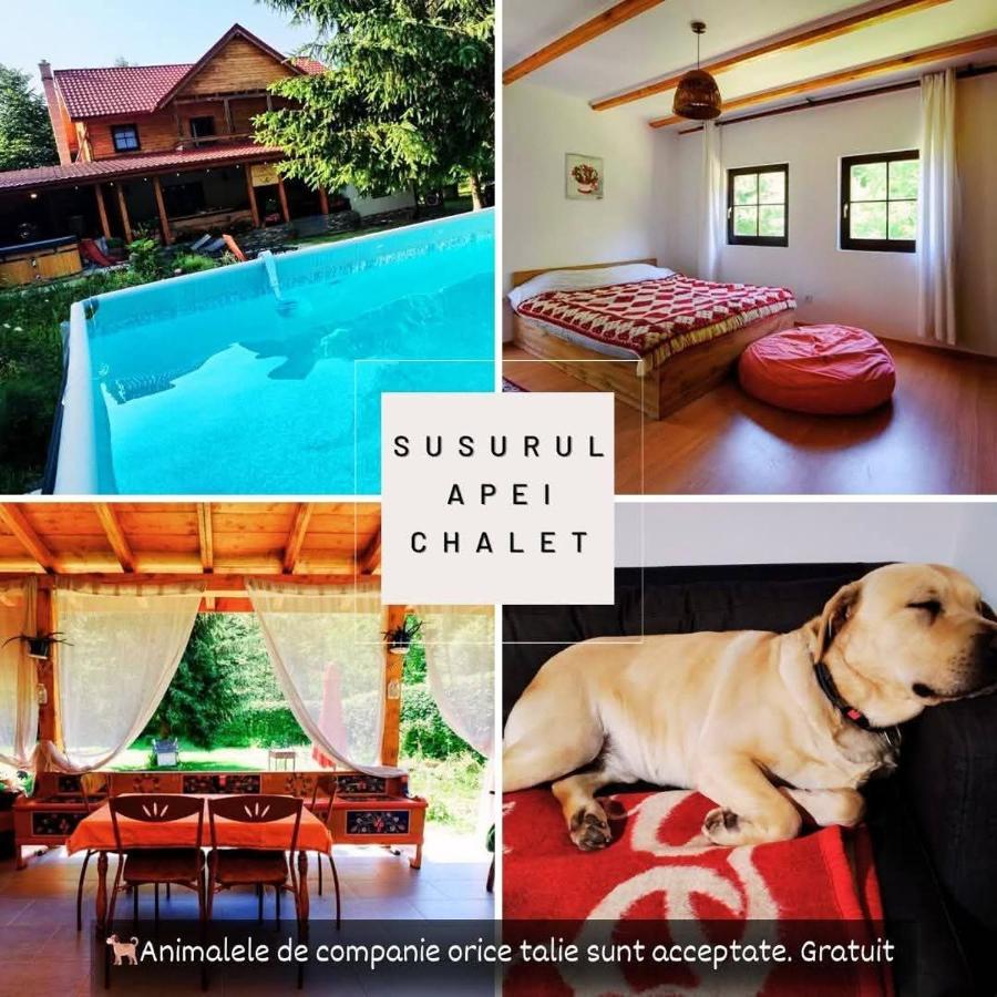 Susurul Apei Chalet - Chambres d’hôtes Porumbacu de Sus