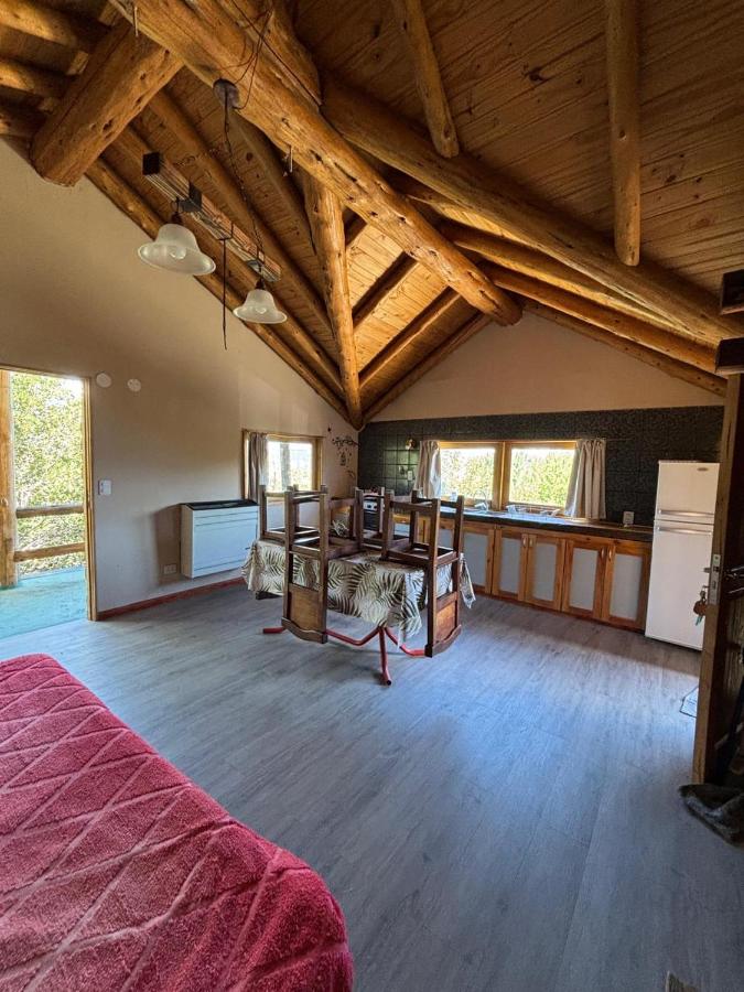 Departamento en los soles de montaña - Chambres d’hôtes Villa Pehuenia