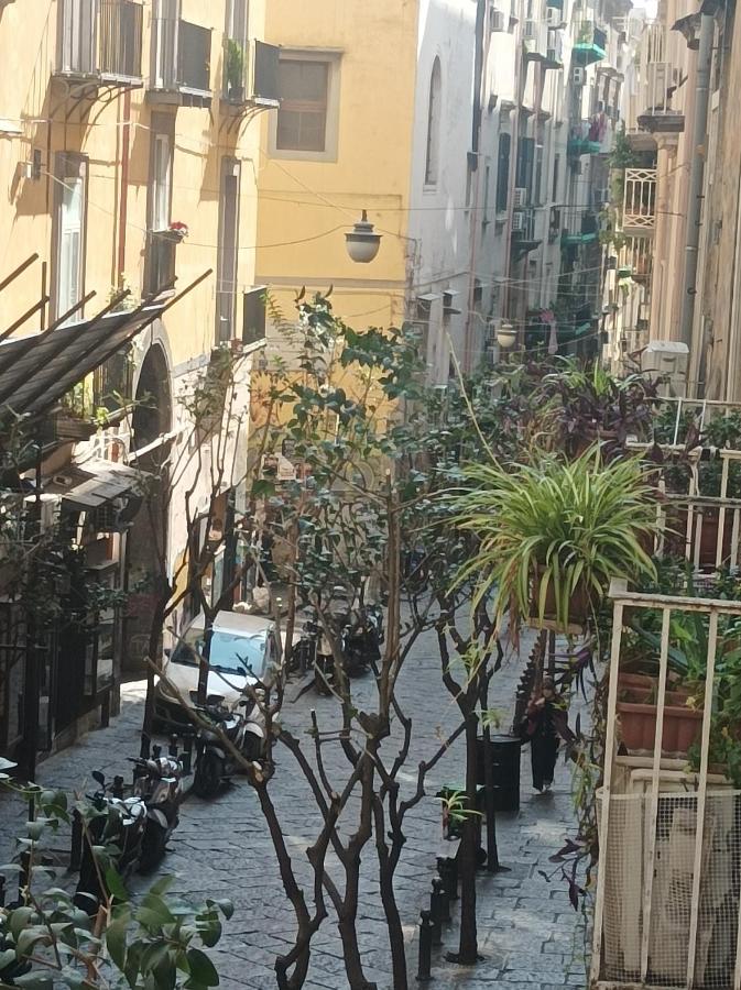 VAN Vieni a Napoli - B&B Naples