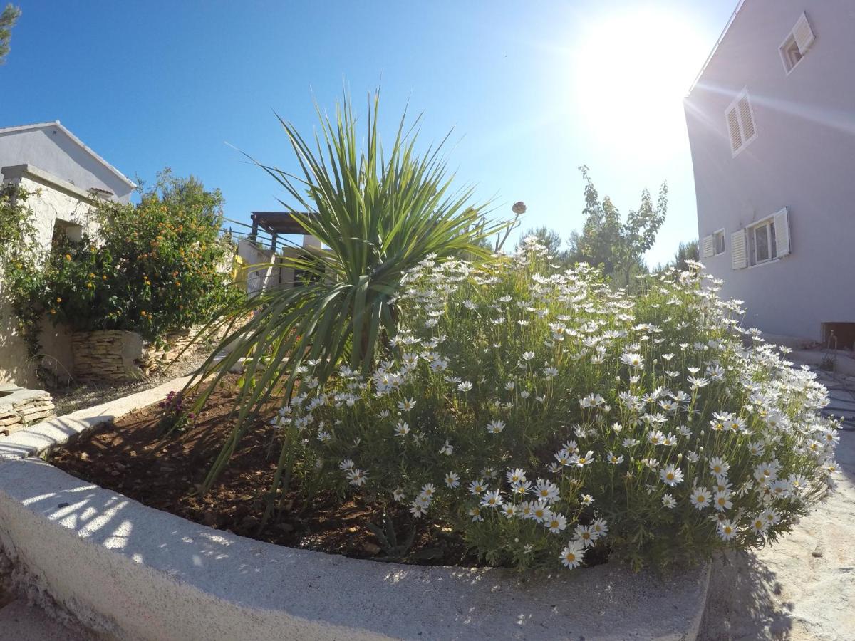Studio mit Gartenblick