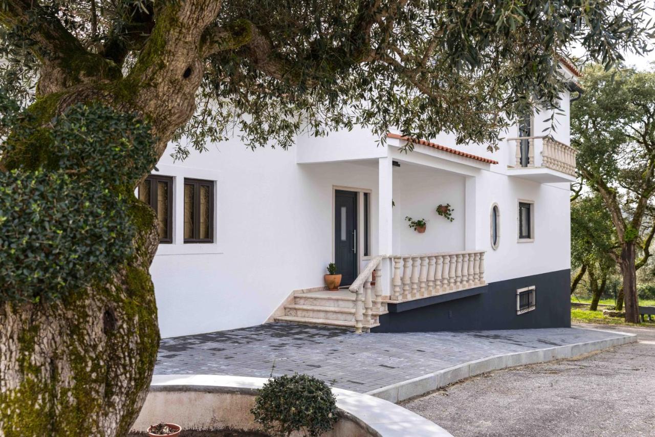 Olive House - B&B Fatima