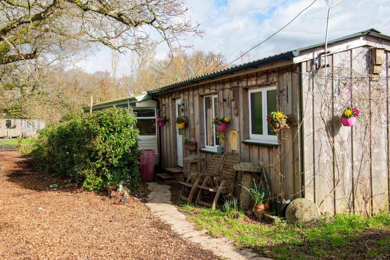 Dartmoor Reach Alpaca Farm Stay Sleeps 8 - Chambres d'hôtes Bovey Tracey