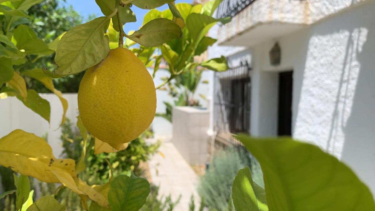 Casa Tomillo - Chambres d'hôtes Calpe