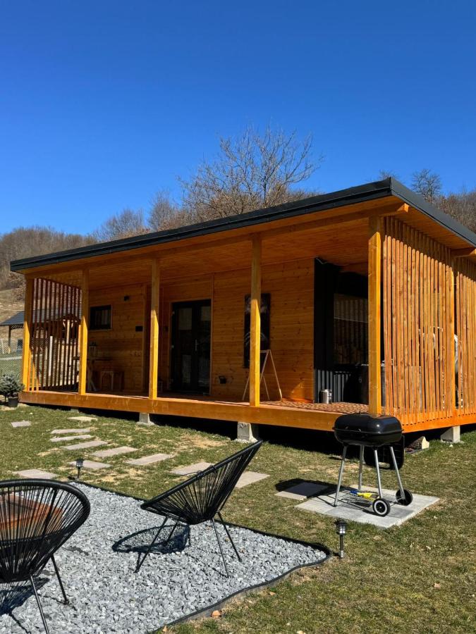 Kong Escape - B&B Dosu Bricii