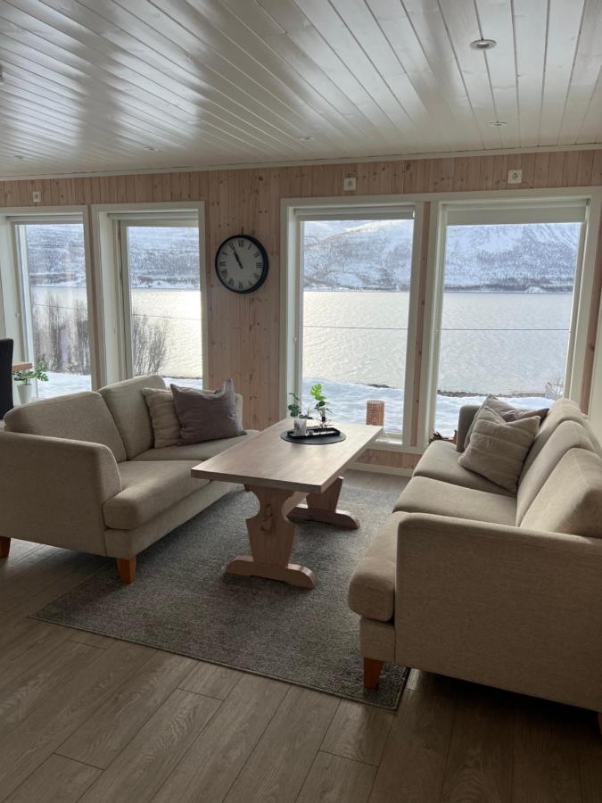 Seljeli - aktiv fritid - B&B Alta